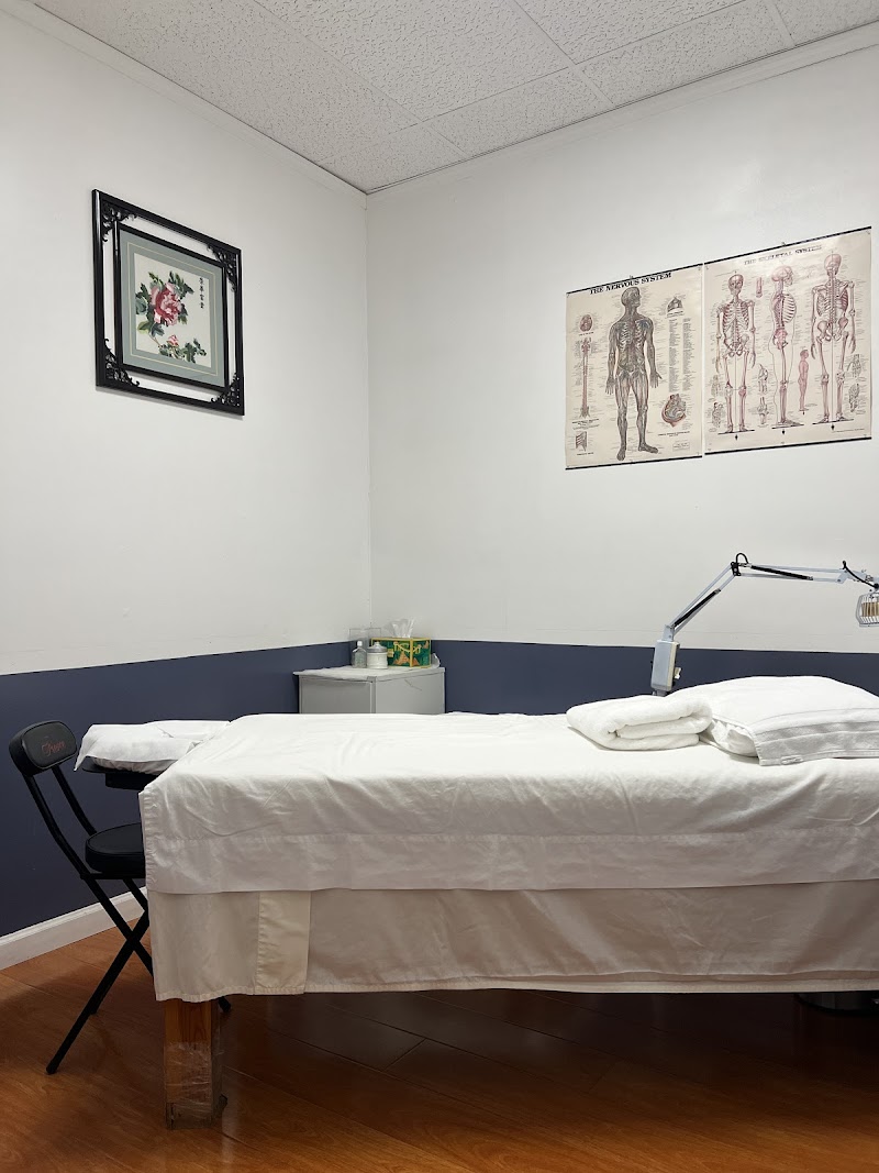 Holistic AcuCare photo 3