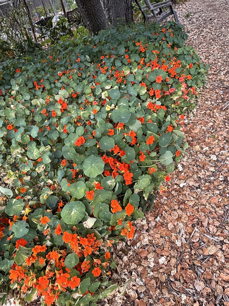 Photo of Palo Alto Demonstration Garden