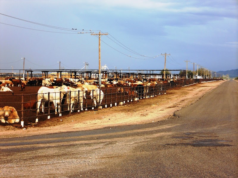 Red Rock Feeding Co photo 3