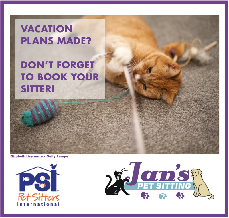 Jan's Pet Sitting photo 4