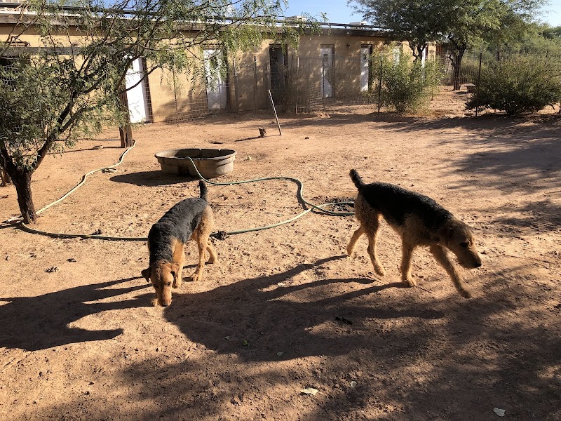 Camp K9's Critter Sitters photo 2
