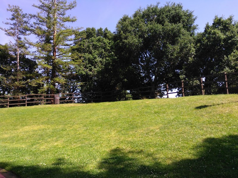 Cupertino Veterans Memorial photo 3