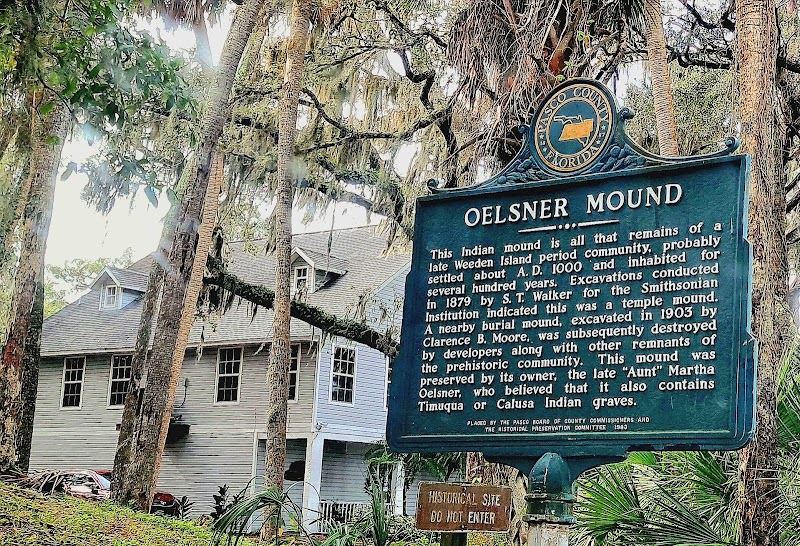 Historic Oelsner Indian Mound photo 5
