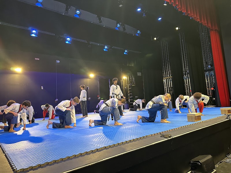 World Champion Center WCC Taekwondo Martial Arts School photo 4
