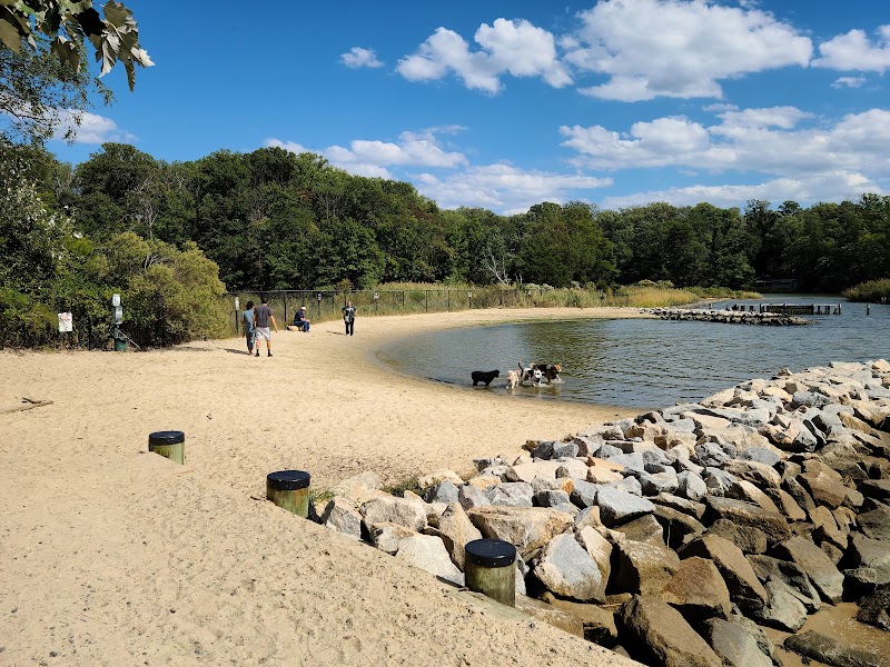 Quiet Waters Dog Beach photo 2
