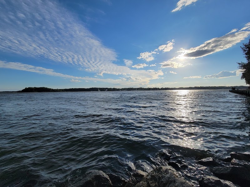 Quiet Waters Dog Beach photo 3