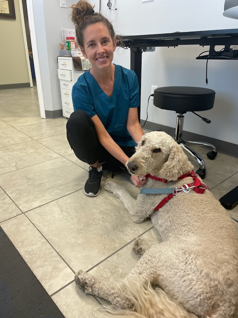 Healing Hands for Pets photo 4