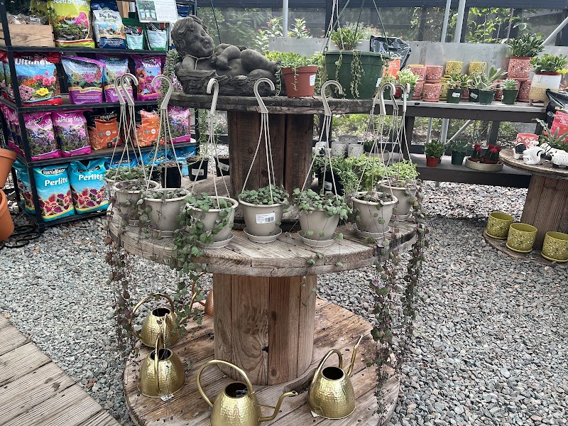 Kerby's Nursery & Landscaping photo 4