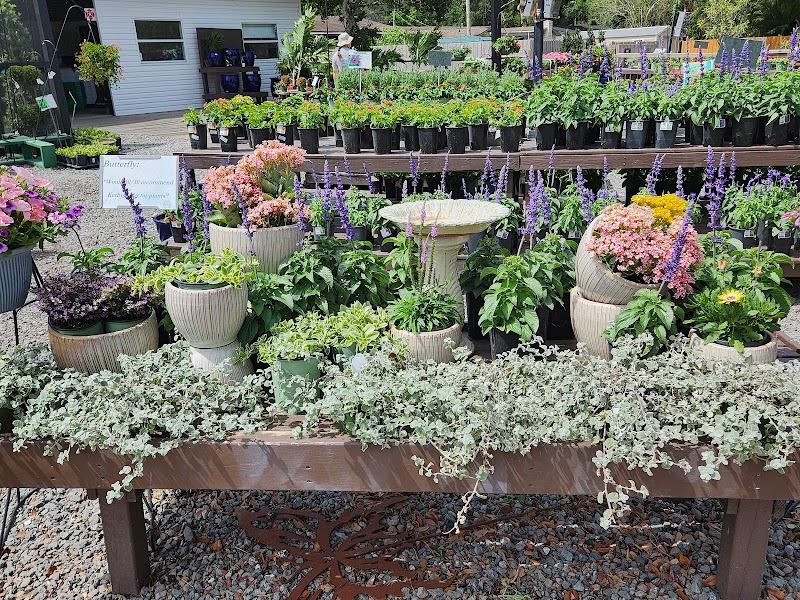 Kerby's Nursery & Landscaping photo 5