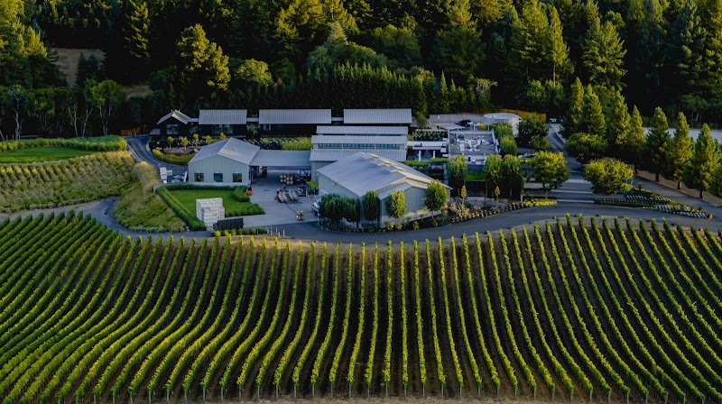 Paul Hobbs Winery photo 2