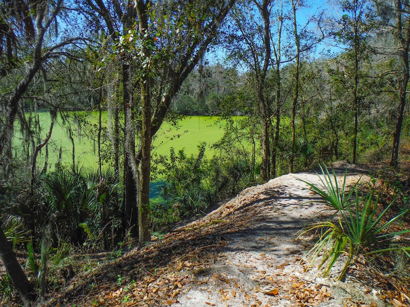 Alafia River State Park photo 4