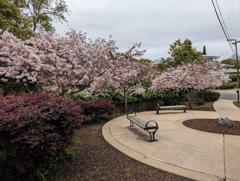 Photo of Patricia Wharton Park