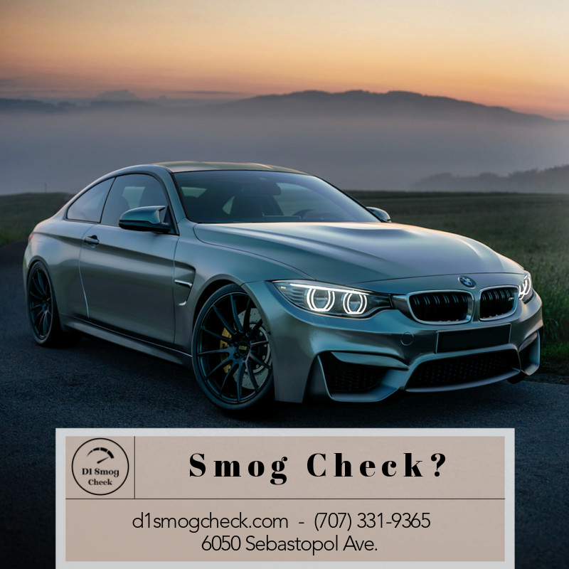 D1 Smog Check photo 4