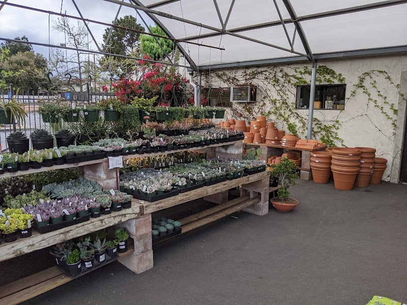 SummerWinds Nursery photo 3