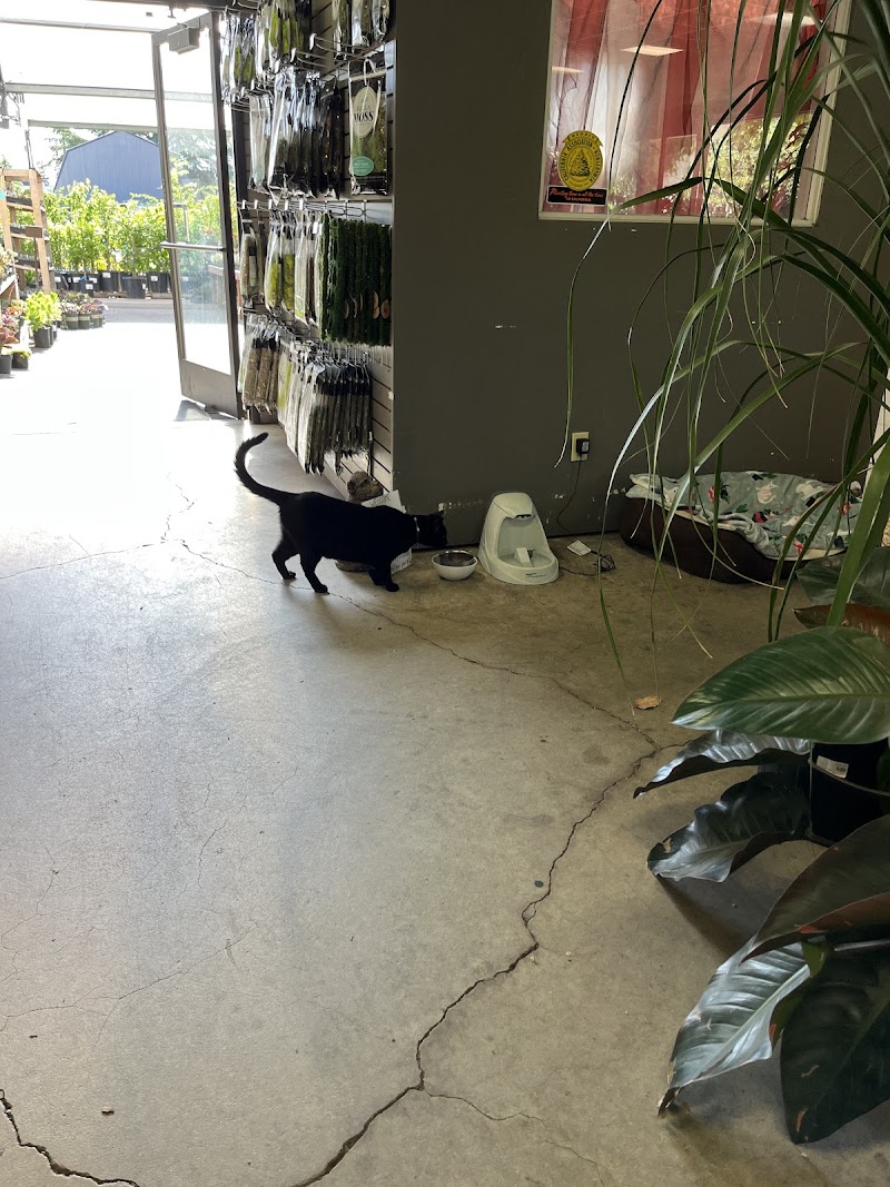 SummerWinds Nursery photo 4
