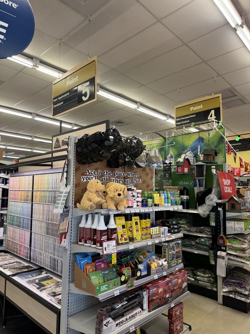 Ace Hardware Palm Harbor photo 2
