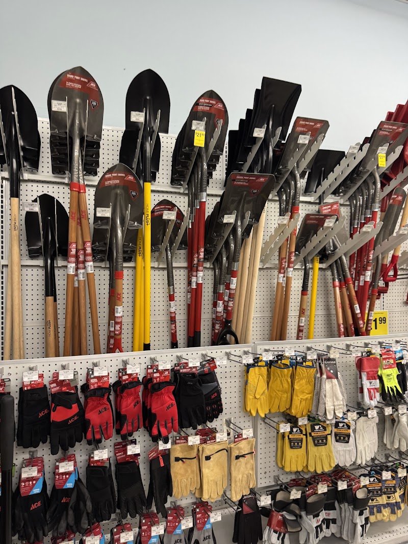 Ace Hardware Palm Harbor photo 3
