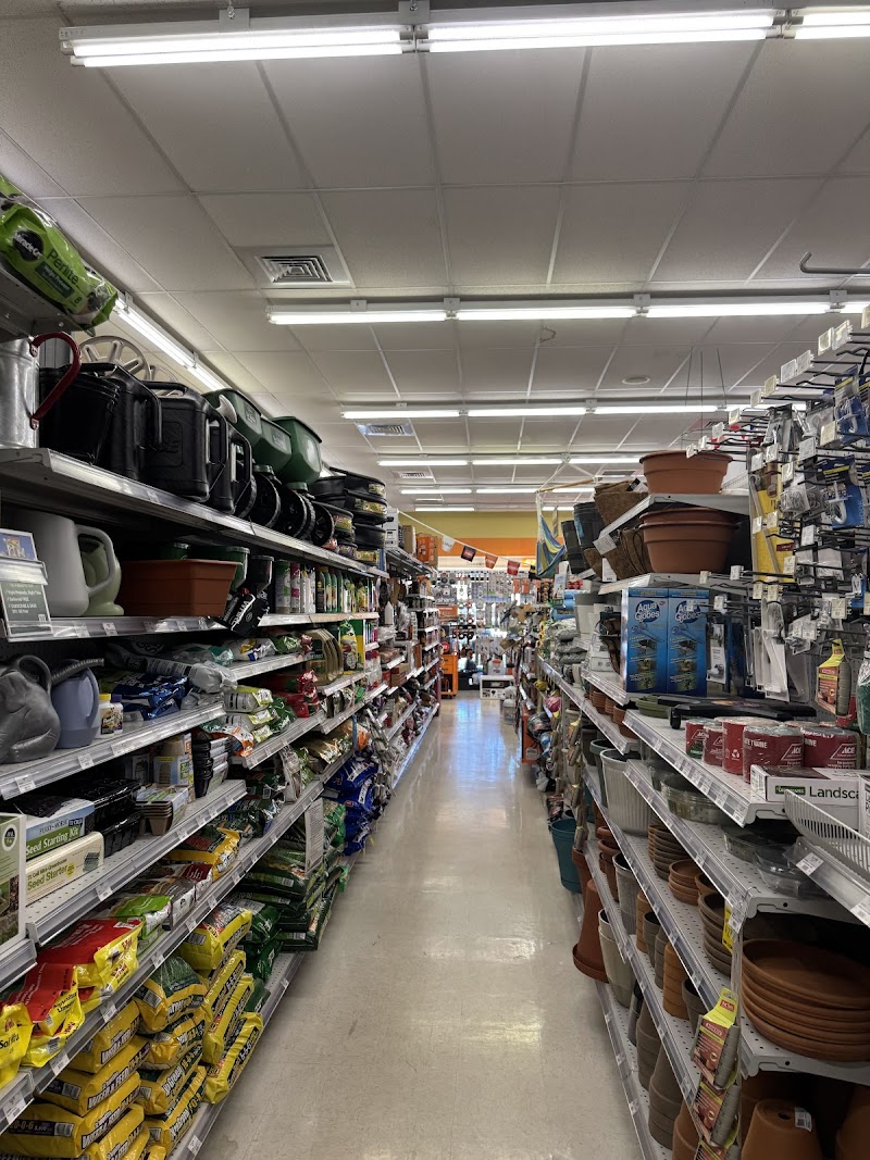 Ace Hardware Palm Harbor photo 5