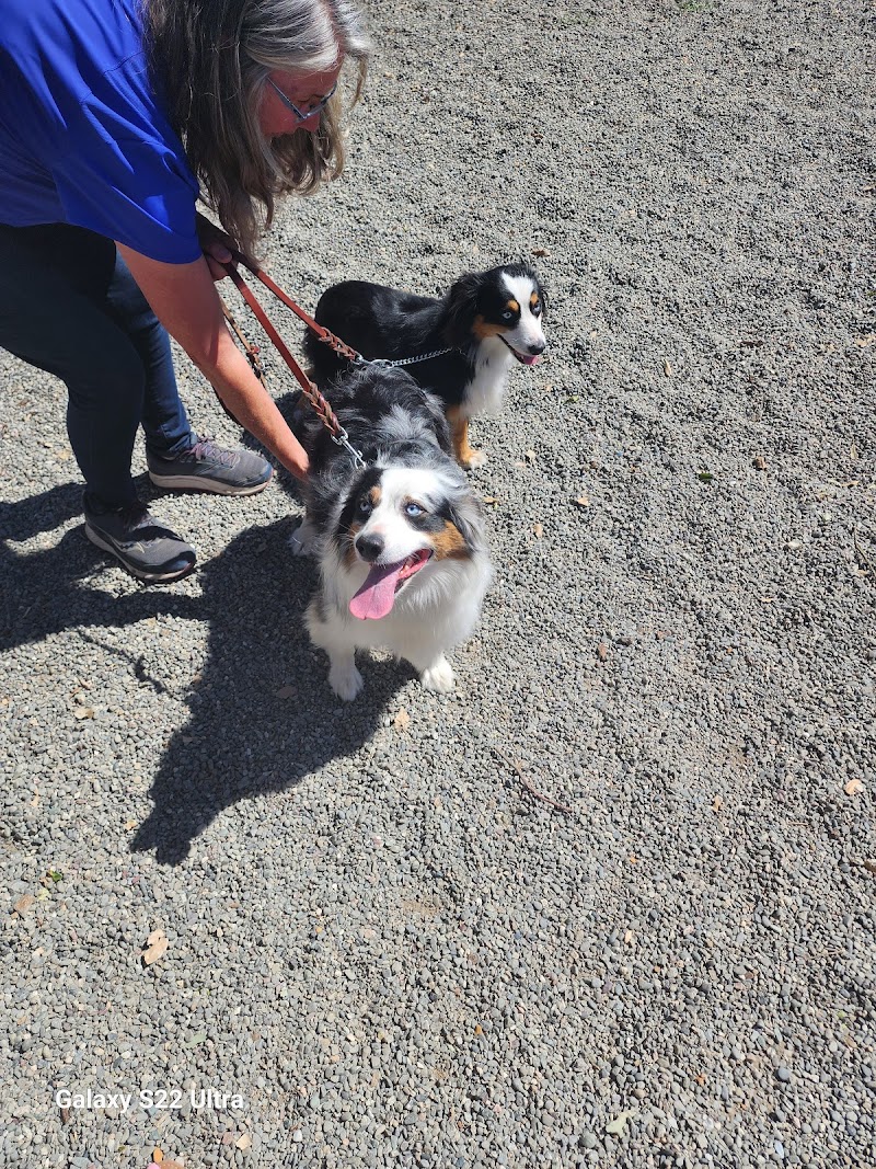 Maranda Ranch Kennels photo 4
