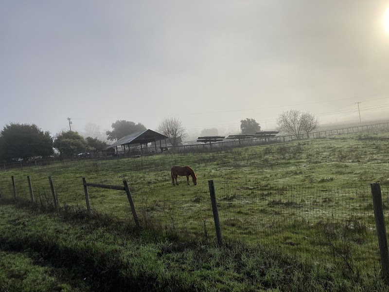 Maranda Ranch Kennels photo 3