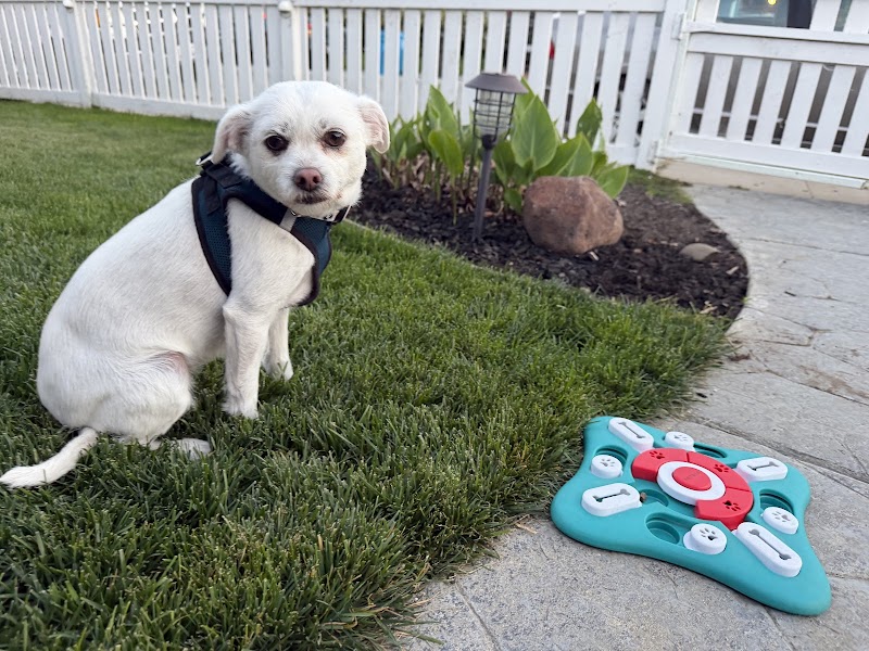 Photo of Retired Couple Pet Care - Fully Insured