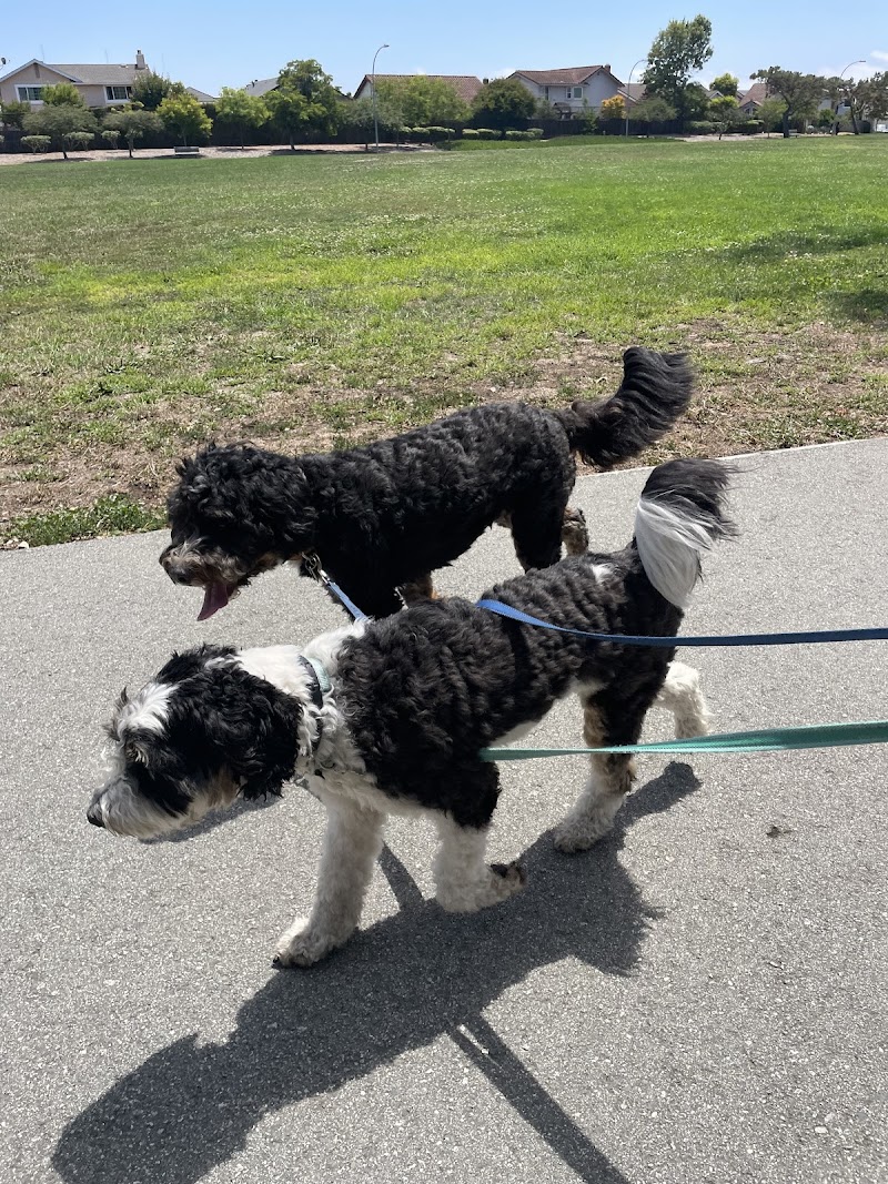 Retired Couple Pet Care - Fully Insured photo 2
