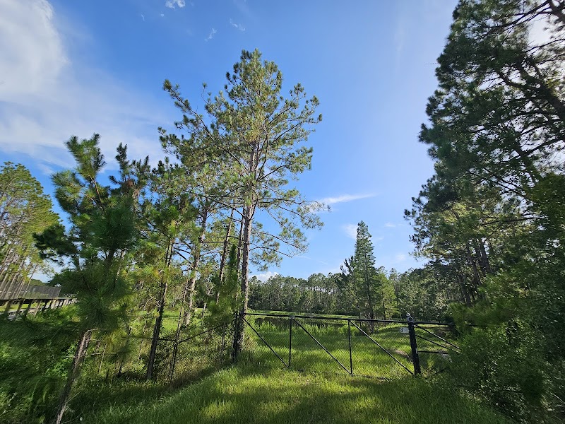 Suncoast Rt. 54 Trailhead photo 2