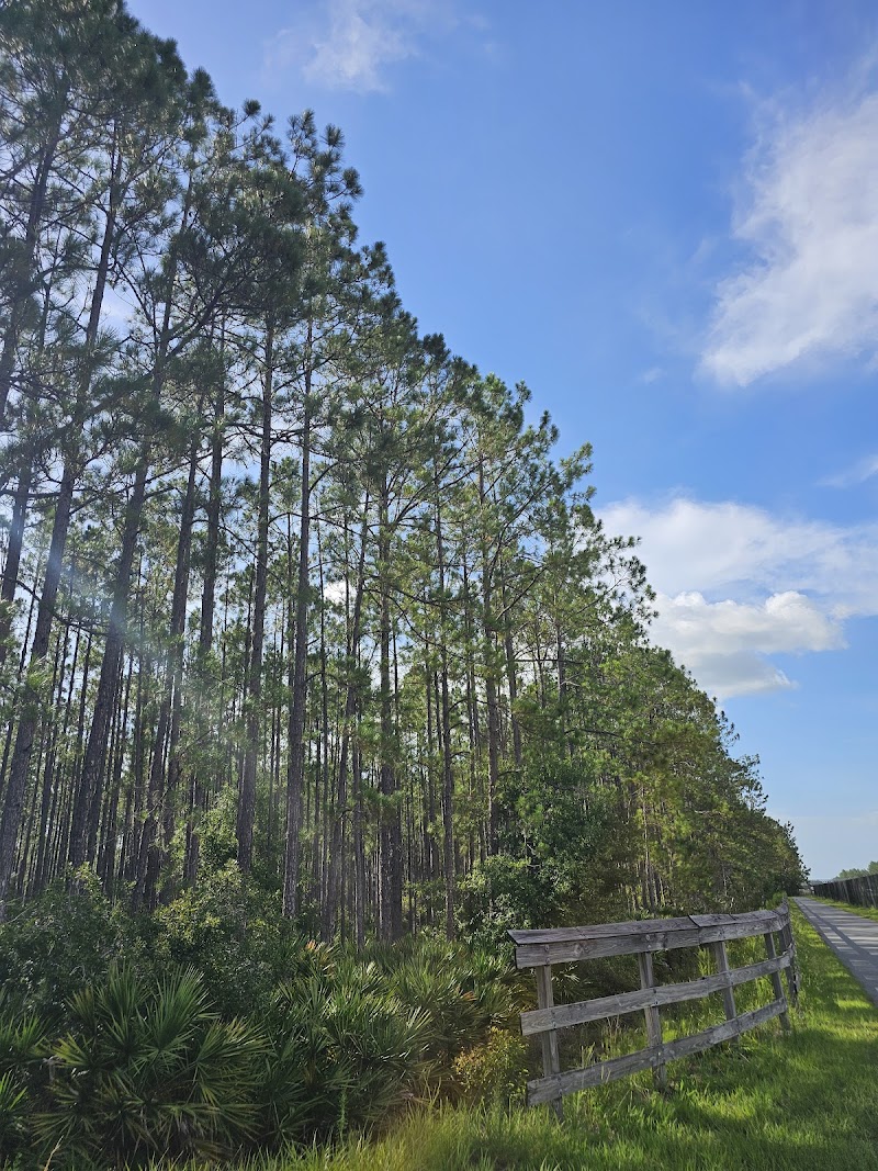 Suncoast Rt. 54 Trailhead photo 5