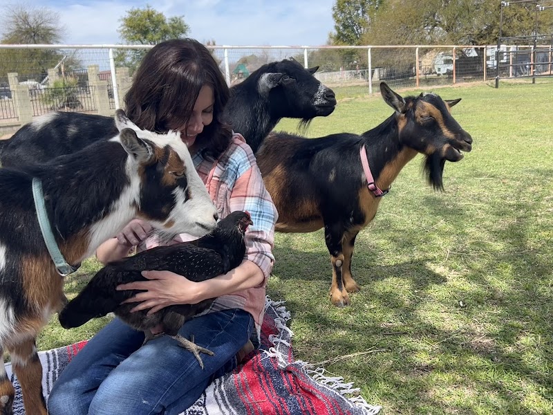 Photo of Rebel Hearts Ranch