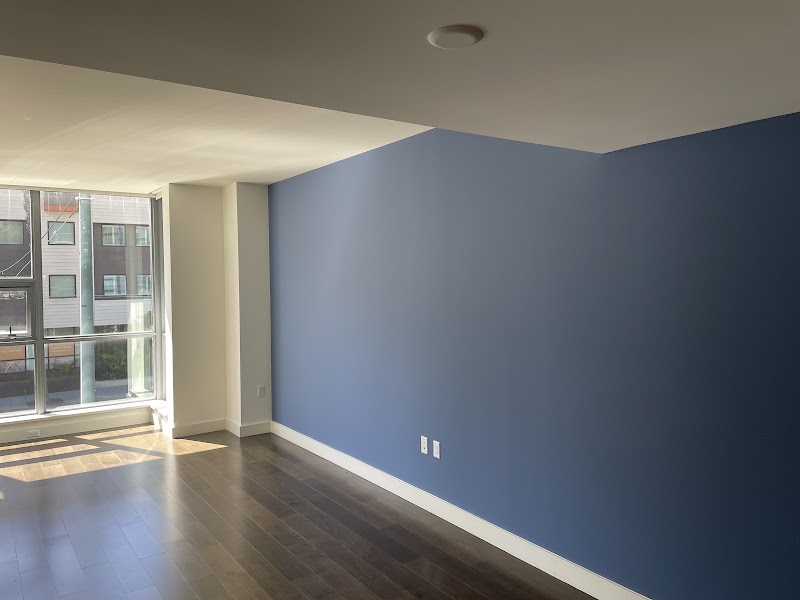 Pintor Painters Decorators Artists LLC photo 3