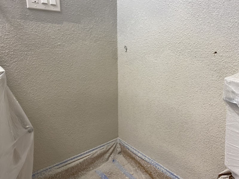 Pintor Painters Decorators Artists LLC photo 4