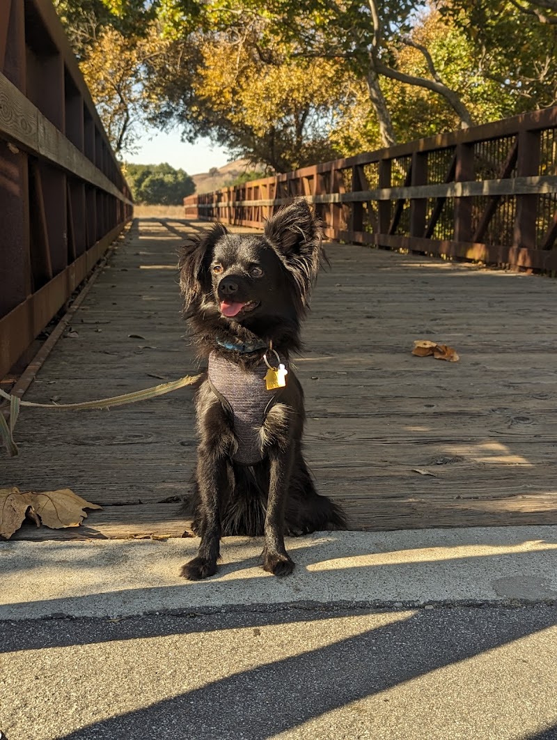 Photo of Charlie's Bridge