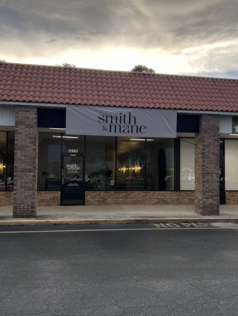Smith & Mane photo 3