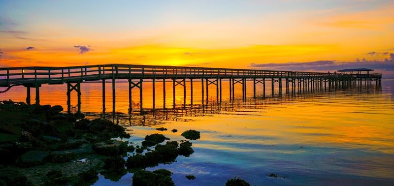 Safety Harbor photo 2