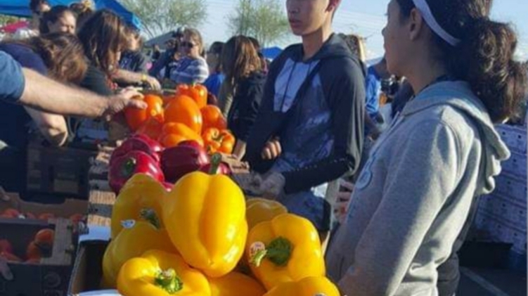 San Tan Valley Farmers Market & Bazaar photo 2