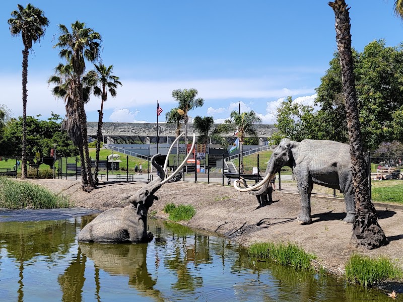 La Brea Tar Pits and Museum photo 2