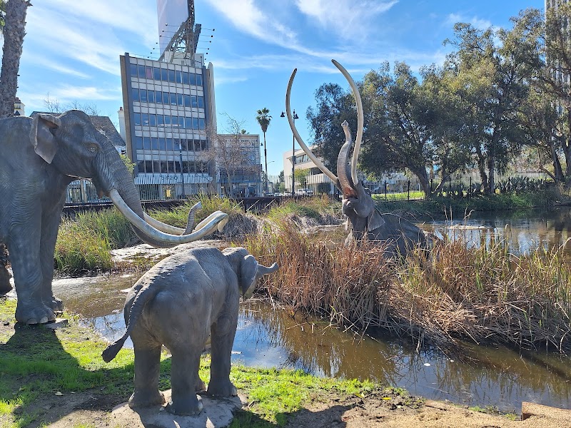 La Brea Tar Pits and Museum photo 4