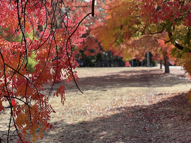 Stanford Campus Recreation Association photo 2