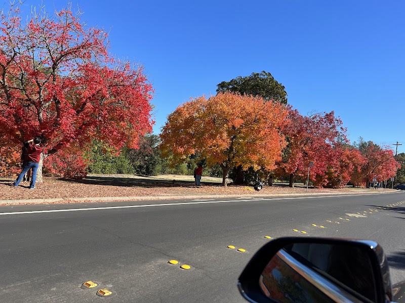 Photo of Stanford Campus Recreation Association