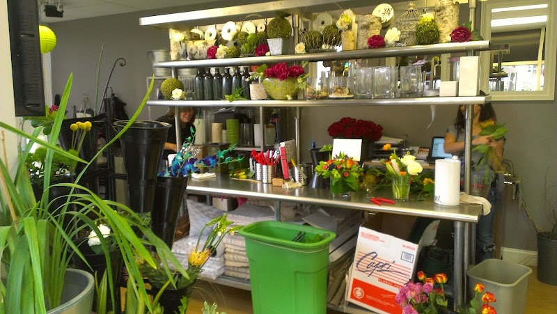 San Francisco Flower Delivery by Rossi & Rovetti photo 3