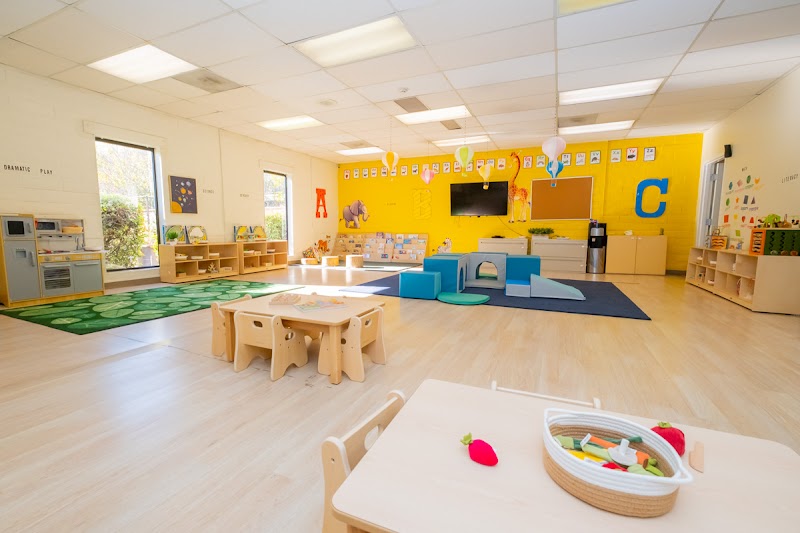 Safari Kid - Cupertino, Global Preschool, Afterschool & Daycare photo 2