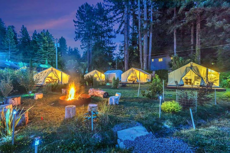 Surrey Resort photo 5