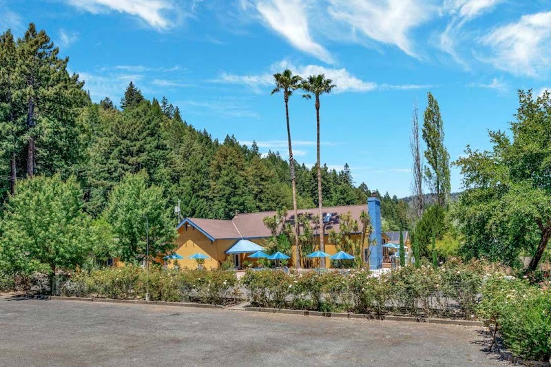 Photo of Surrey Resort
