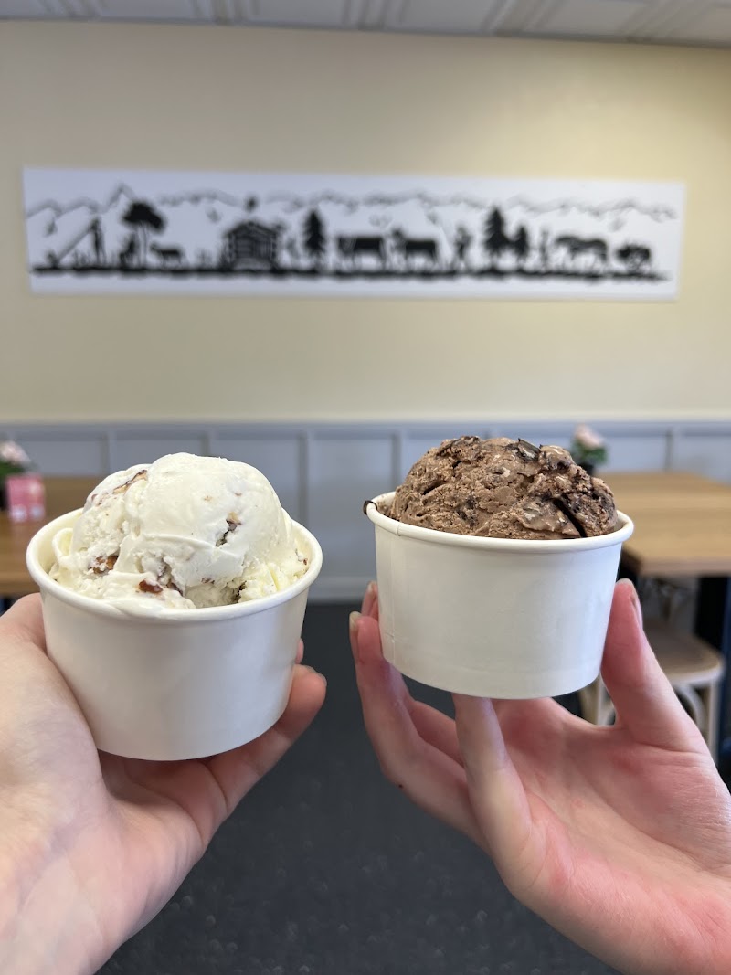 Sweet Alps Ice Cream Inverness photo 2
