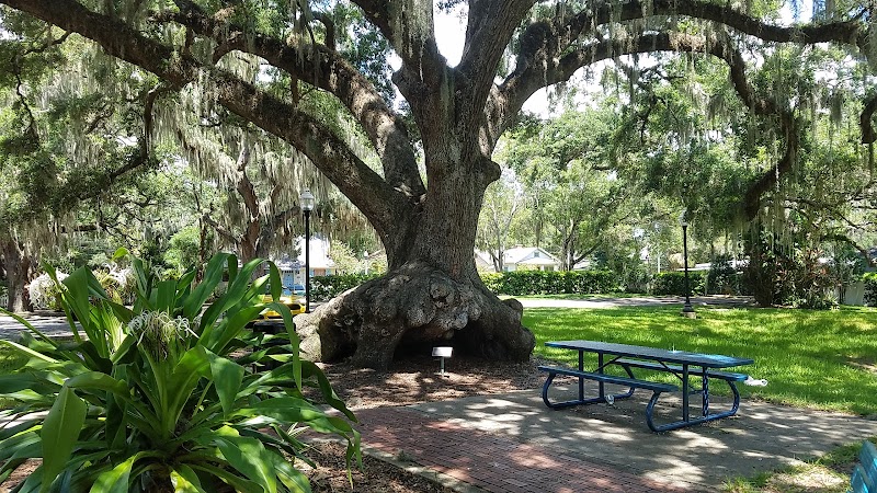 Photo of Art Park