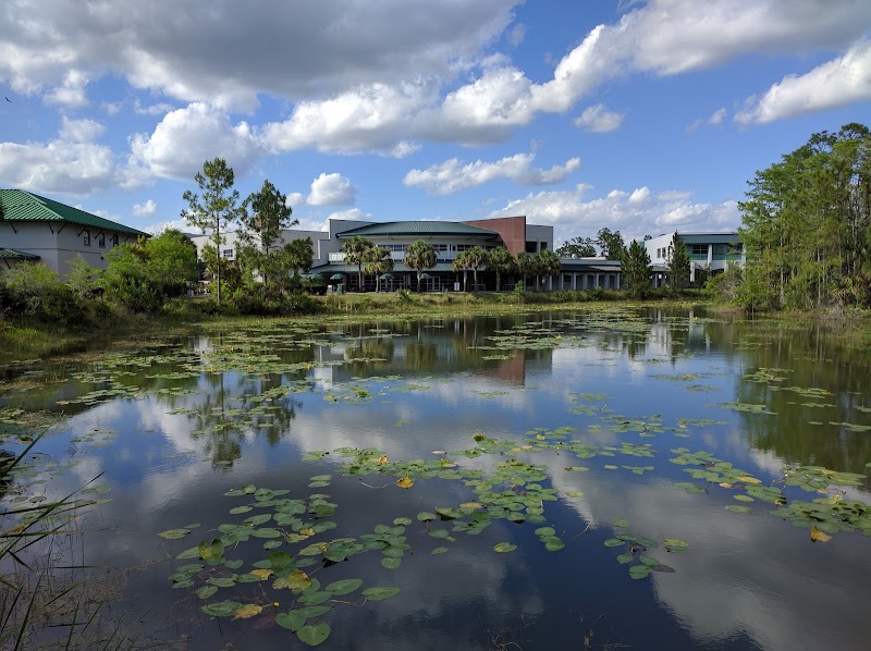 Florida Gulf Coast University photo 4