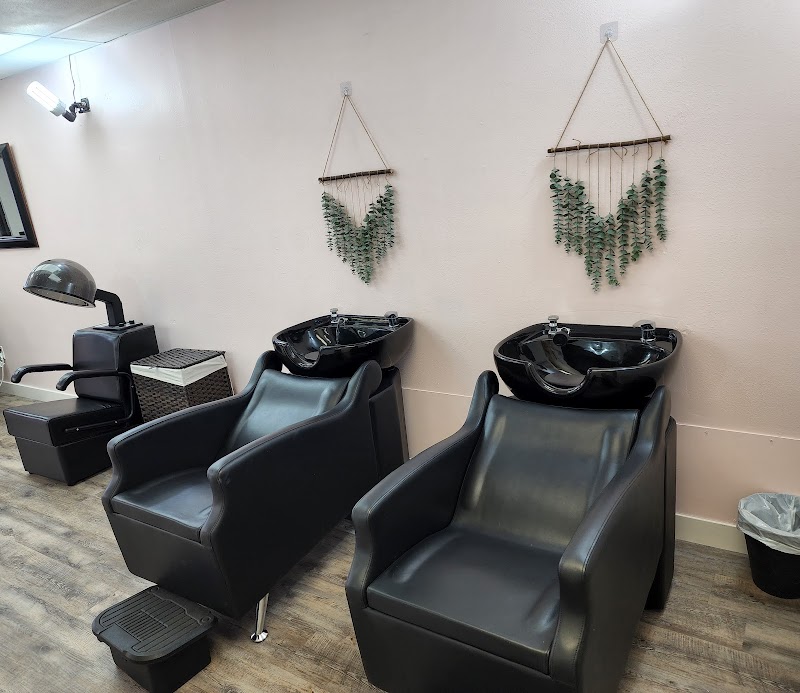 Tone & Co. Salon, Inc. photo 3