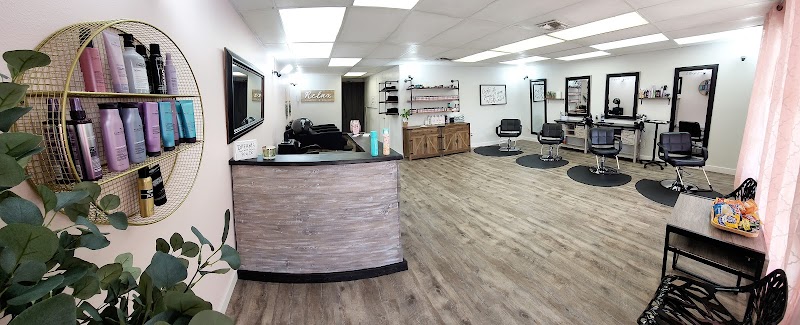 Tone & Co. Salon, Inc. photo 2
