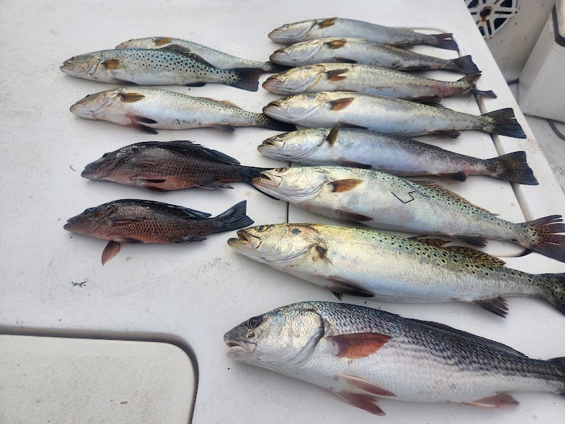 Reel Shallow Fishn Charters photo 4