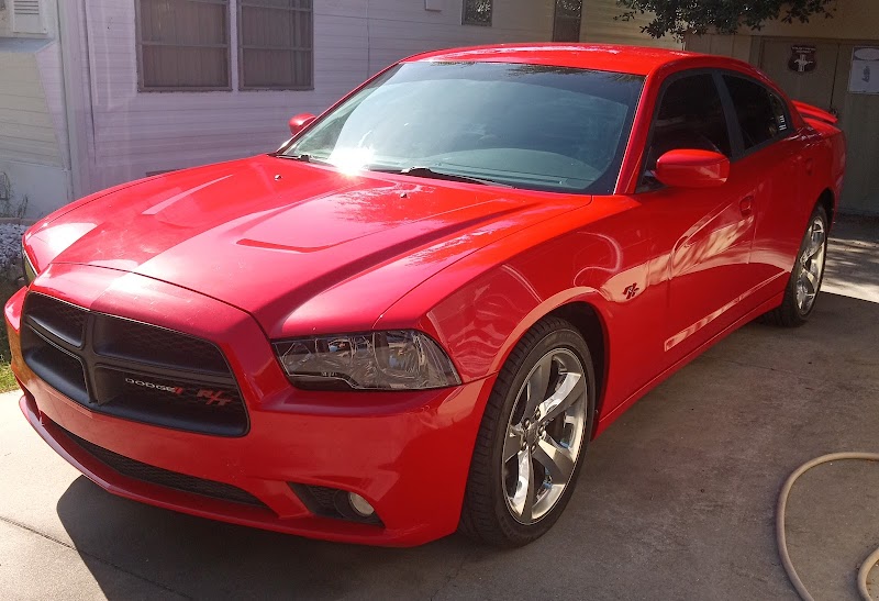 Sunny Florida Cars photo 5